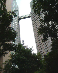 c0051781_23555879.jpg