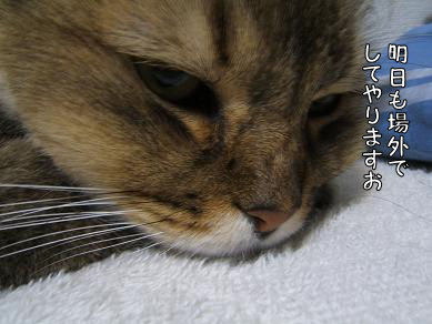 a0045990_1595033.jpg