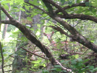 a0050192_19335776.jpg