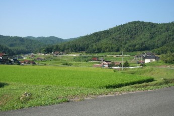 f0105592_17112219.jpg