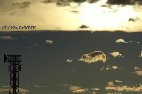 e0008800_1594631.jpg
