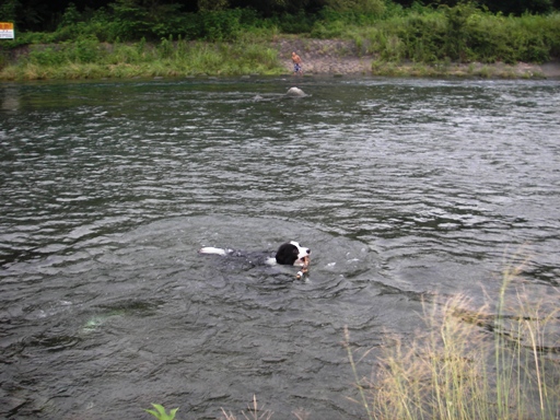 f0034602_21364769.jpg