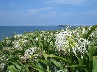 b0061107_19401820.jpg