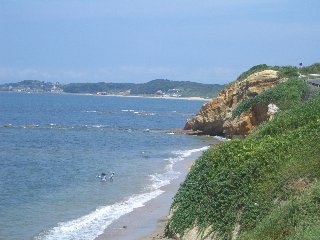 b0061107_19442724.jpg