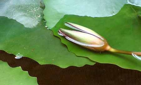 a0065611_16413236.jpg