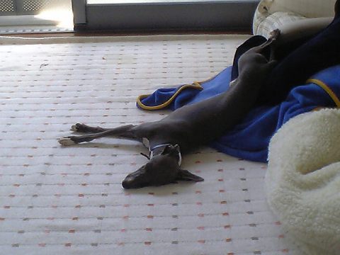 c0003217_14231195.jpg