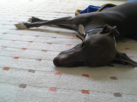 c0003217_14232138.jpg