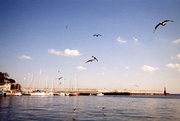 d0042618_2255782.jpg