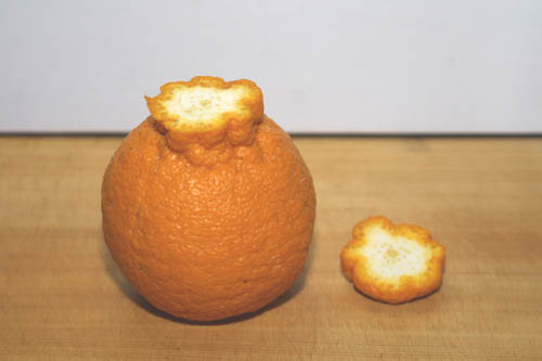 c0018823_16442314.jpg