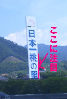 a0048526_22404625.jpg