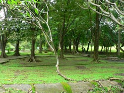 b0090333_1434549.jpg