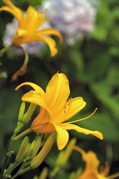c0032138_9251142.jpg