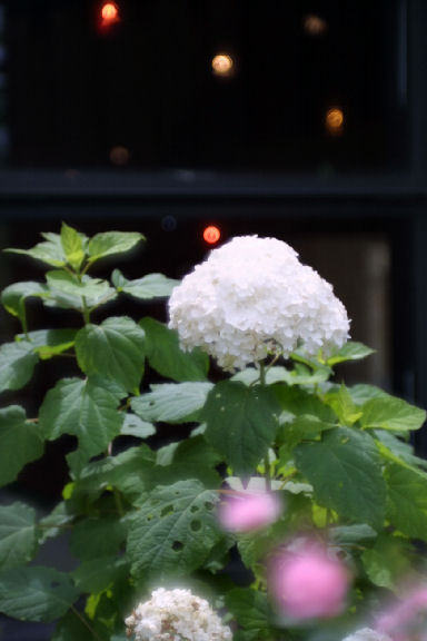 c0032138_9344166.jpg