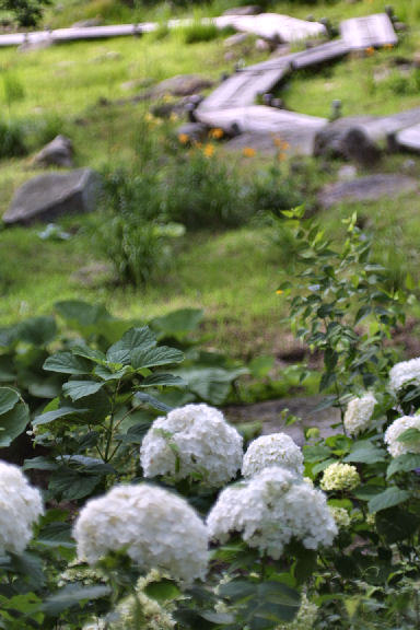 c0032138_9375494.jpg