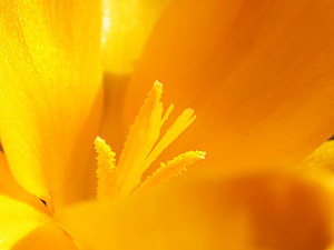 a0003746_1038869.jpg