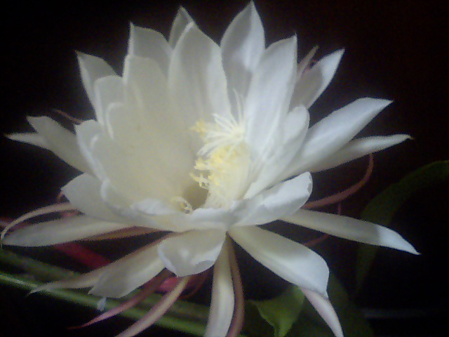 c0050857_1001697.jpg