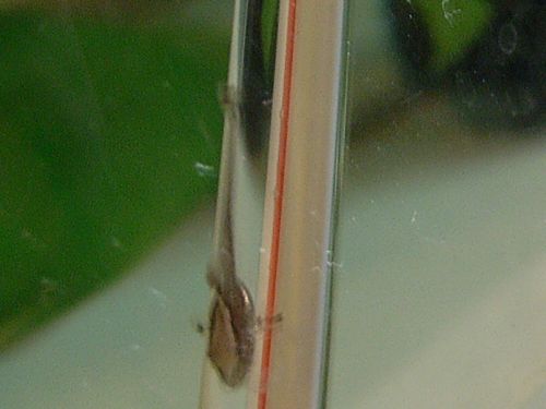 e0072757_0354824.jpg