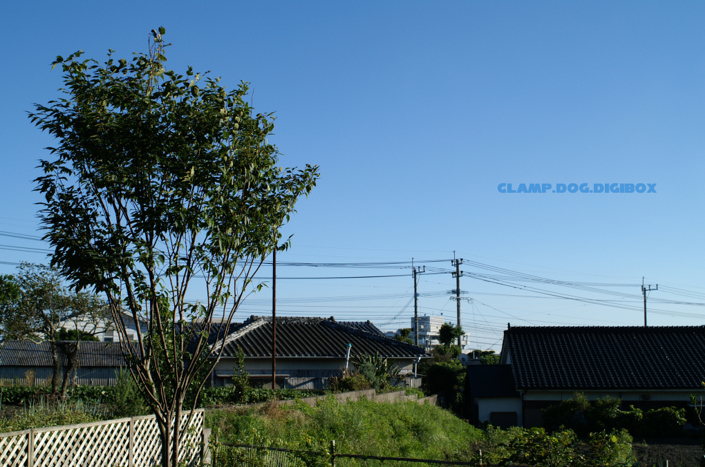 f0088058_18433967.jpg