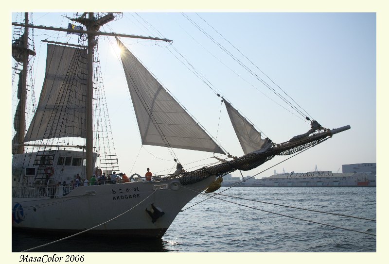 f0063363_1024266.jpg