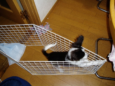 a0045872_22212667.jpg