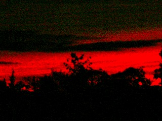 c0078480_0113251.jpg