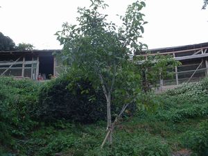 d0078789_23391656.jpg