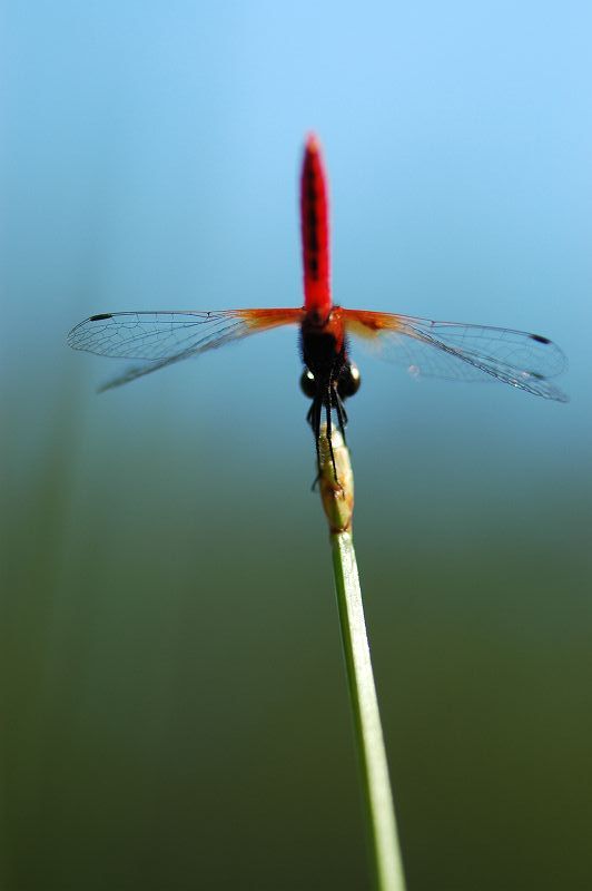 b0021897_22335628.jpg