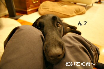 c0050400_15574243.jpg