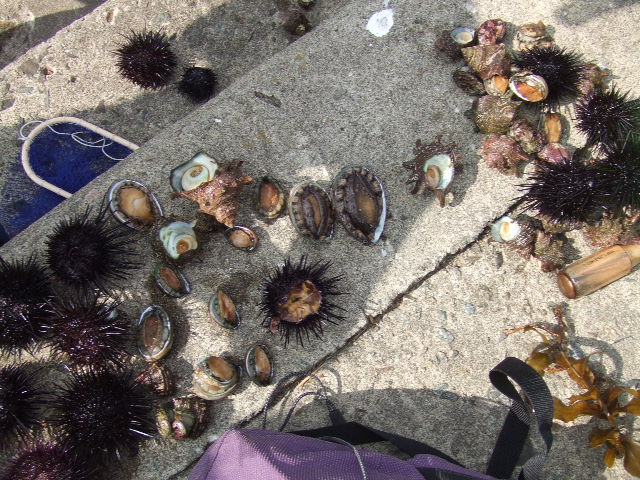 e0050801_0511683.jpg