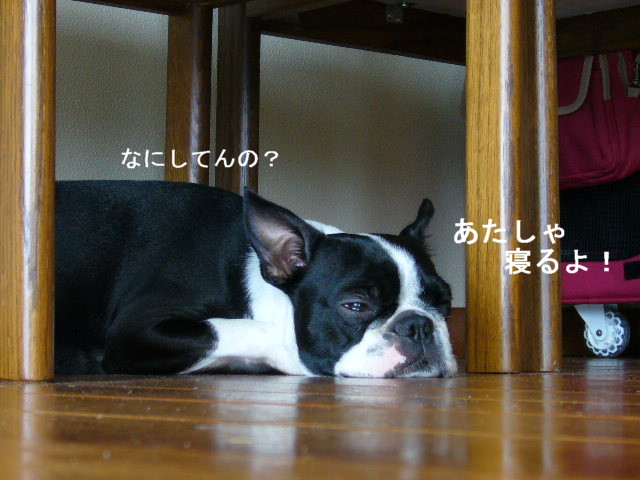 d0070702_7583816.jpg