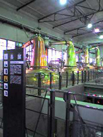 a0032405_23362065.jpg