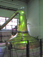 a0032405_23364114.jpg