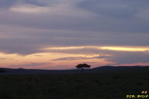 b0051109_13294342.jpg