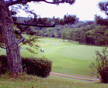 b0052816_22502239.jpg