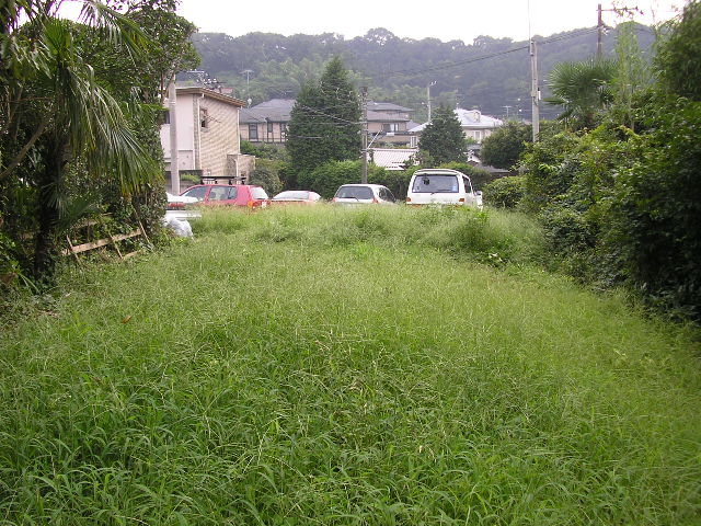 b0096418_18525512.jpg