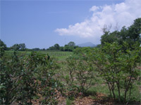 b0034422_1203123.jpg