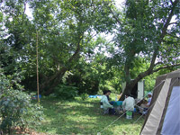 b0034422_121372.jpg
