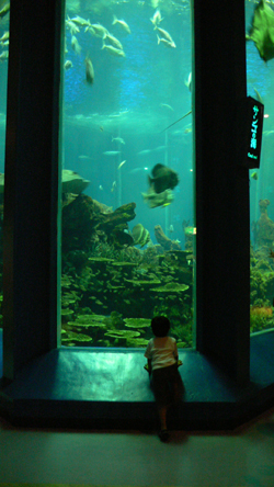 f0060424_19201013.jpg