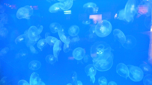 f0060424_19252629.jpg