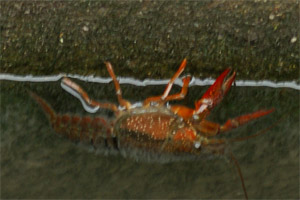 a0003746_14444157.jpg