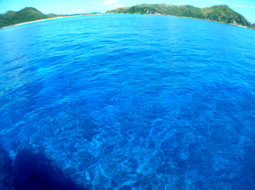 d0065247_22215980.jpg