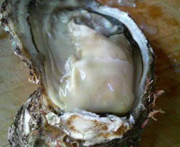f0088647_22233055.jpg