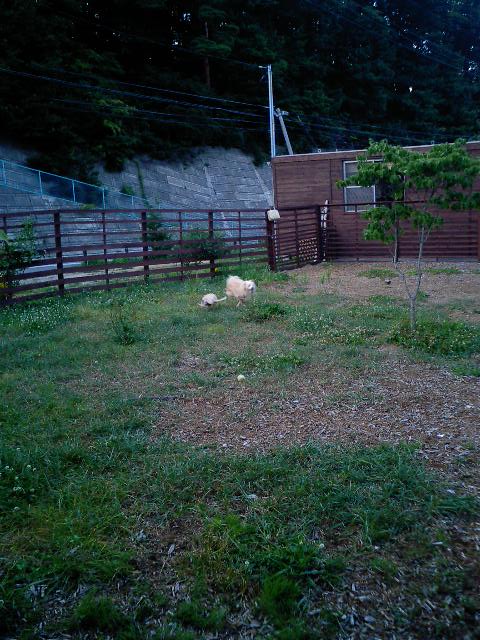 f0046262_2223166.jpg