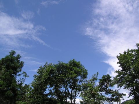c0042869_2063828.jpg