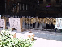 b0073782_22215927.jpg