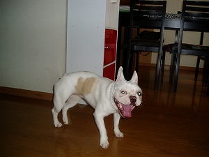 e0066099_072250.jpg