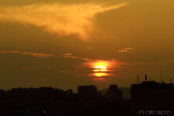 e0008800_232398.jpg