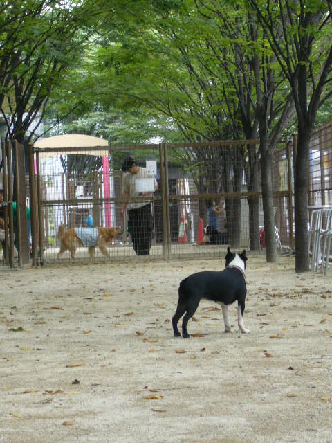 d0070702_22274389.jpg