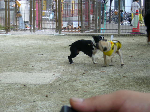d0070702_22275615.jpg