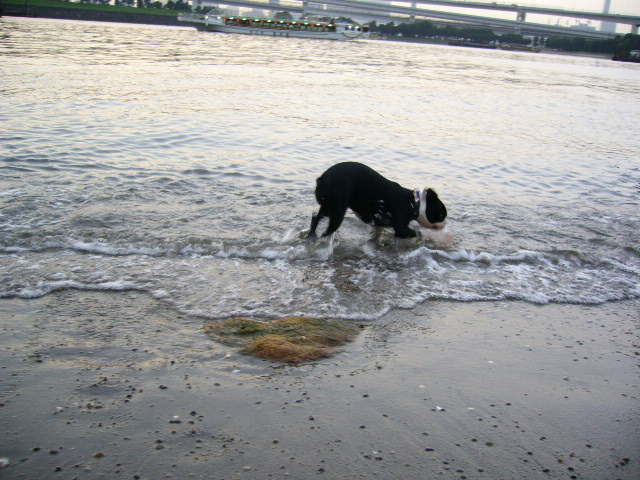 d0070702_22562856.jpg